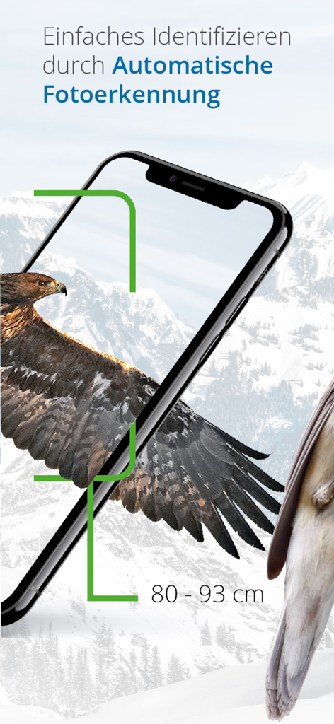 Vogelführer Birdlife Schweiz - 写真からの自動鳥識別を示すスマートフォンアプリ