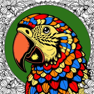 realistic parrot mandala