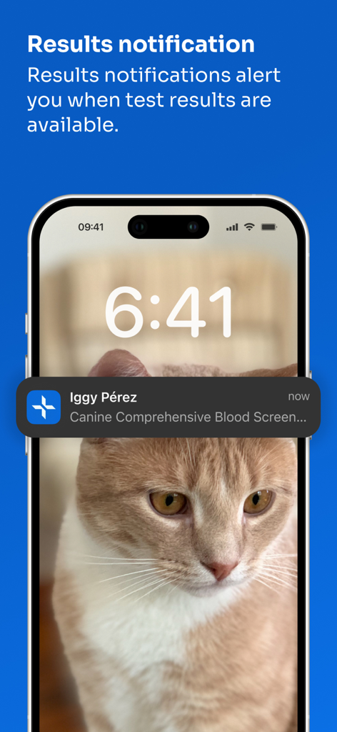 Pantalla de bloqueo del iPhone mostrando una notificación de resultado de prueba de diagnóstico para un análisis de sangre canino de la aplicación IDEXX VetConnect PLUS