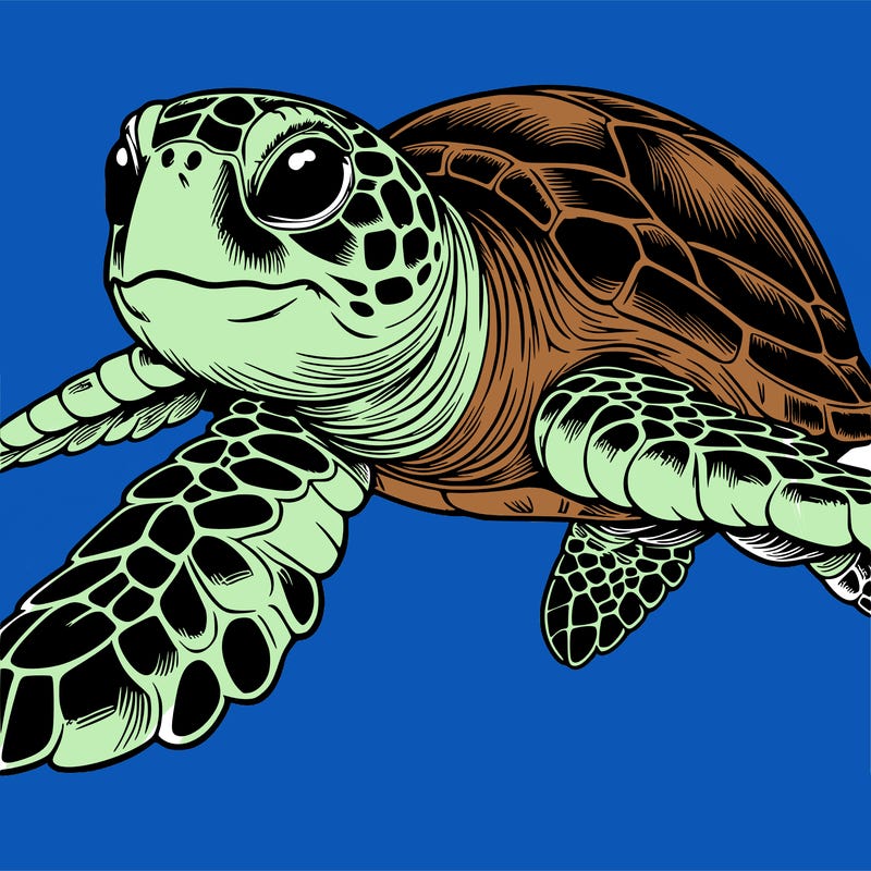 realistic sea turtle