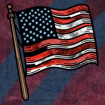 the united states  flag