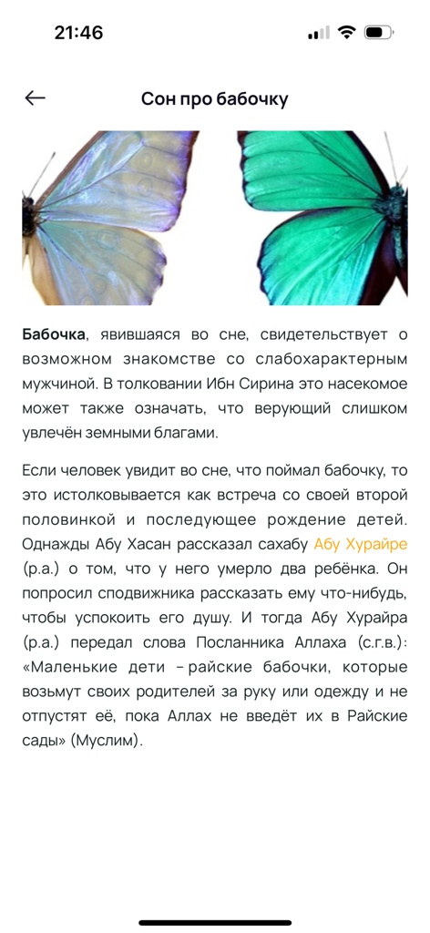 Islam.Global - Islam.Global app screen displaying Muslim dream interpretation text about a butterfly in Russian