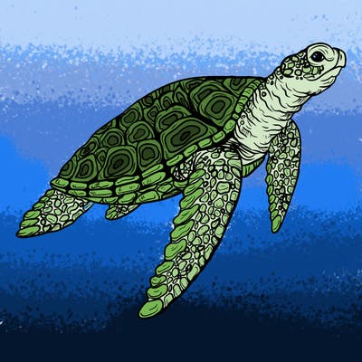 sea_life_03_new