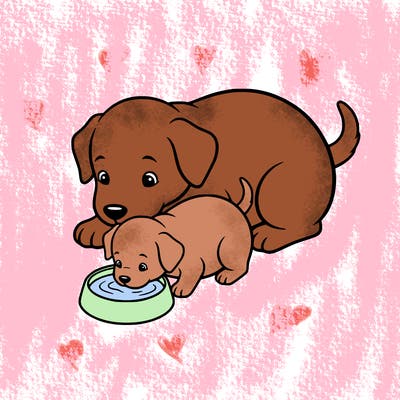 a cute baby puppy drinking milk while snuggled with its mama