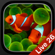Aquarium Dynamic Wallpapers