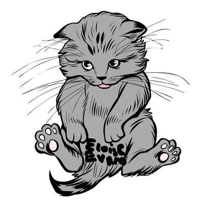 animals_20