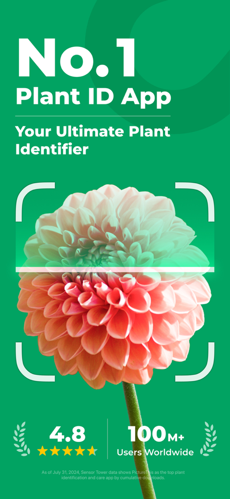 PictureThis 앱 인터페이스가 분홍색 달리아 꽃을 스캔하고 최고의 식물 식별 앱이라고 표시됨