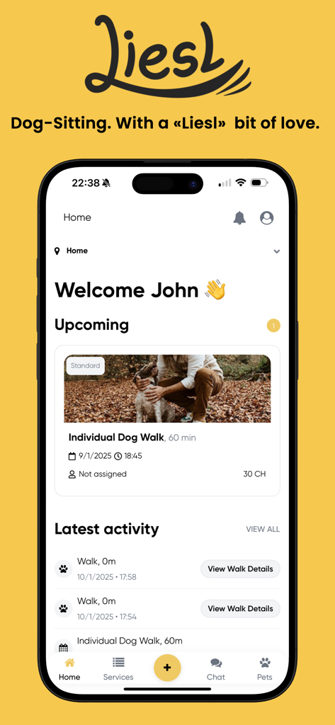Liesl - Home screen of the Liesl app displaying upcoming dog walking appointments and recent activity