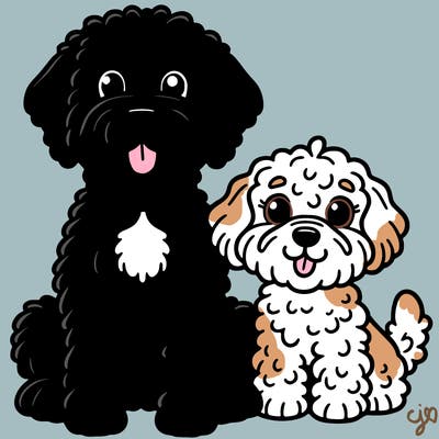 portuguese water dog with a goldendoodle dog