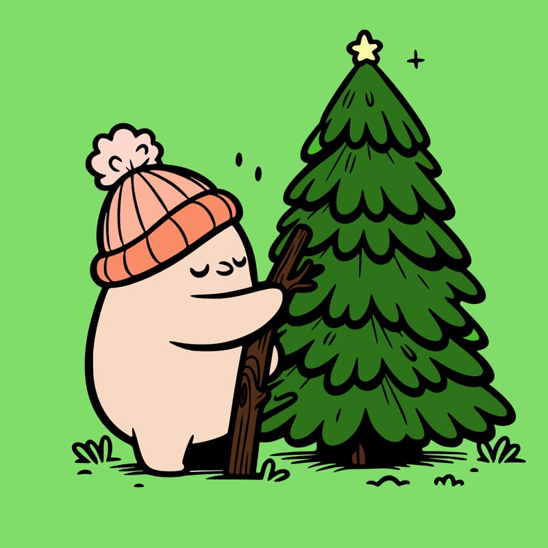 sapin