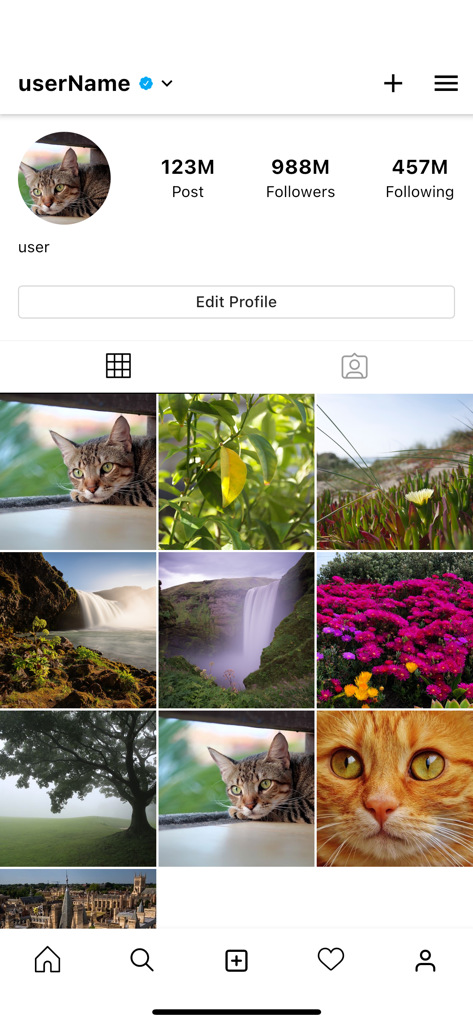 Screenshot of PhotoNote app showing a social media style profile page with a photo grid and follower counts