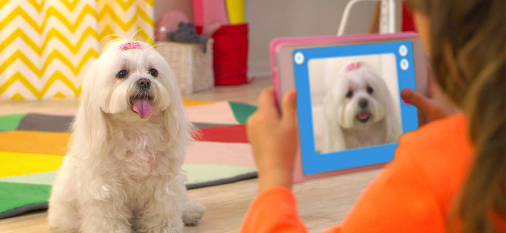 A child using a tablet to take a photo of a white Maltese dog for sketching with the smART sketcher app.
