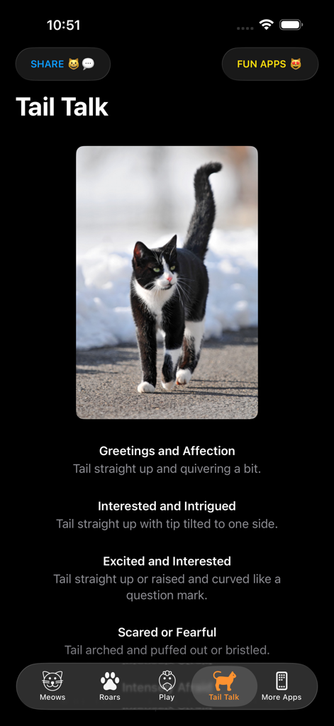 より良いコミュニケーションのために猫の尻尾の位置を解釈する方法を示すTail Talkインターフェイス