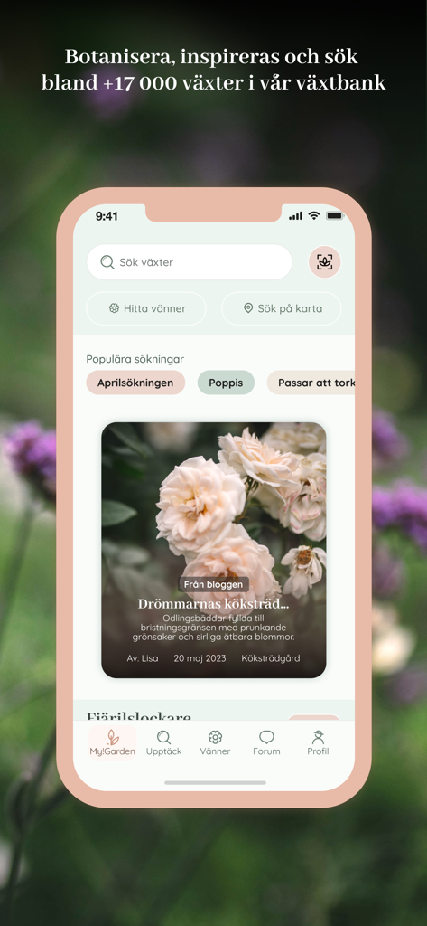 Smartphone-Oberfläche der Oh Garden App, die die Pflanzen-Suchleiste und den Entdeckungs-Feed mit Garteneinrichtung anzeigt