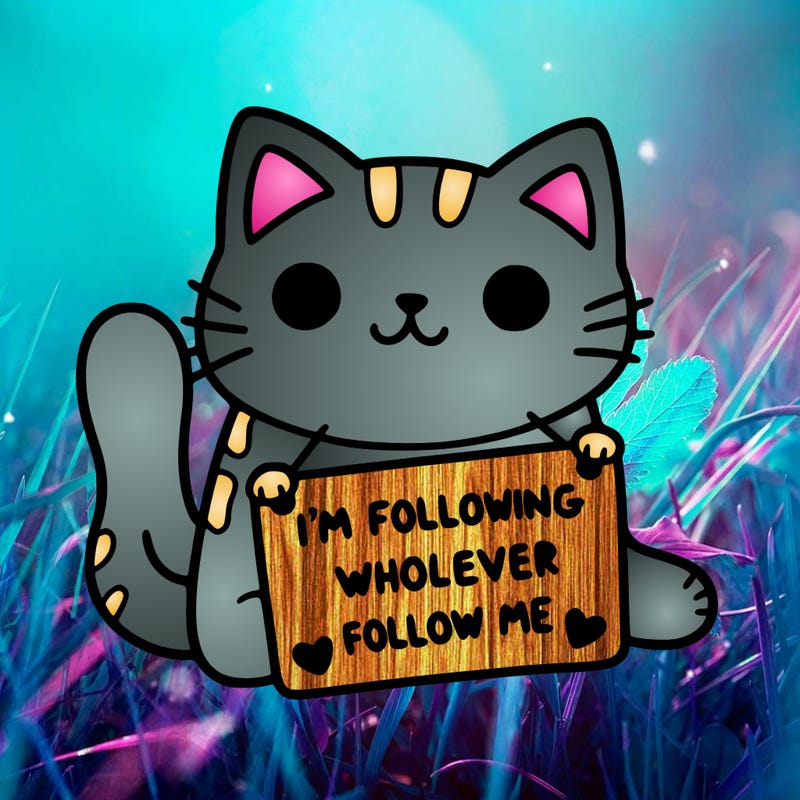 cat with a sign that says i’m following whoever follows me