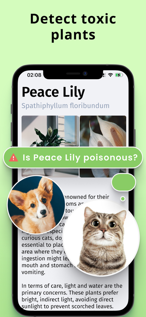 Écran de l'application Plantion mettant en évidence la détection des plantes toxiques pour les chats et les chiens