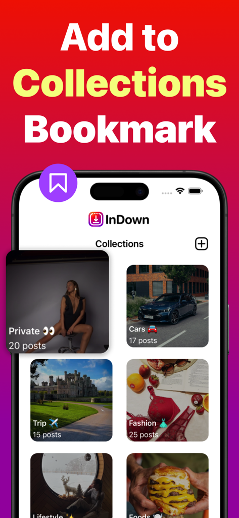 InDown・Reels Video Story Saver - InDown app screen showing organized content collections including categories for private posts, cars, trips, and fashion