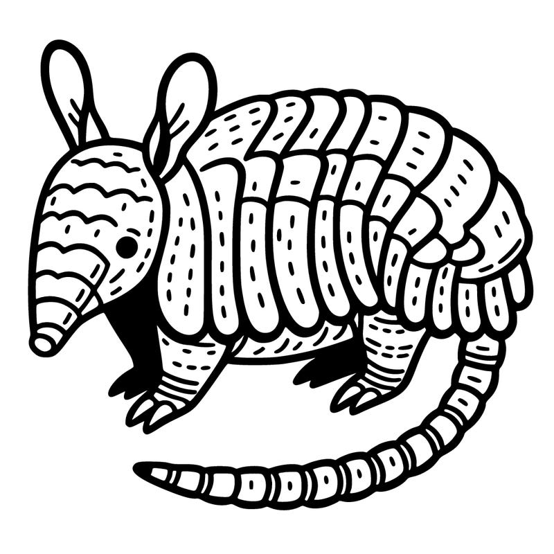 an armadillo