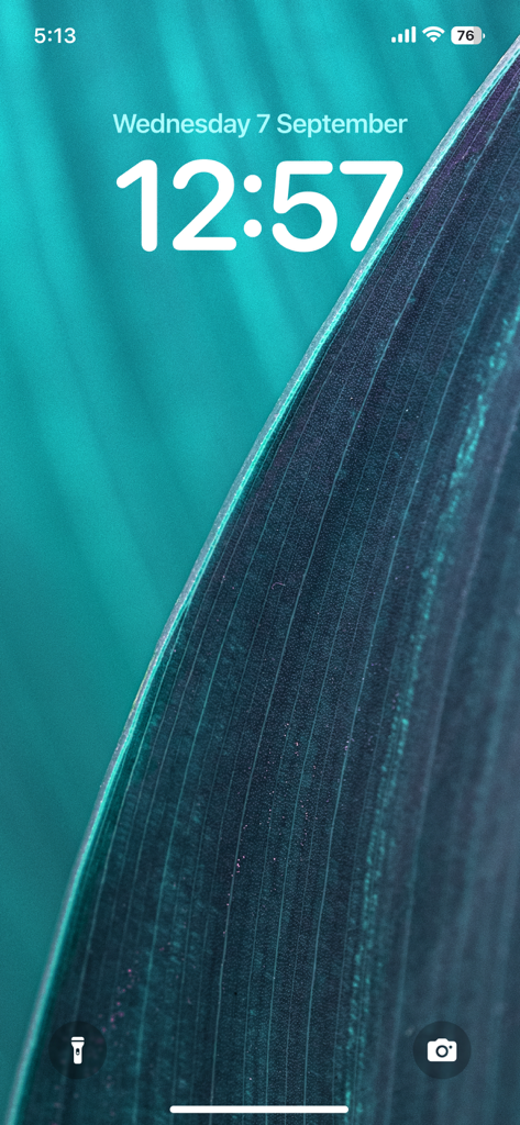 4K Wallpaper - HD Wallpaper - iPhone lock screen showcasing a detailed 4K teal nature leaf wallpaper