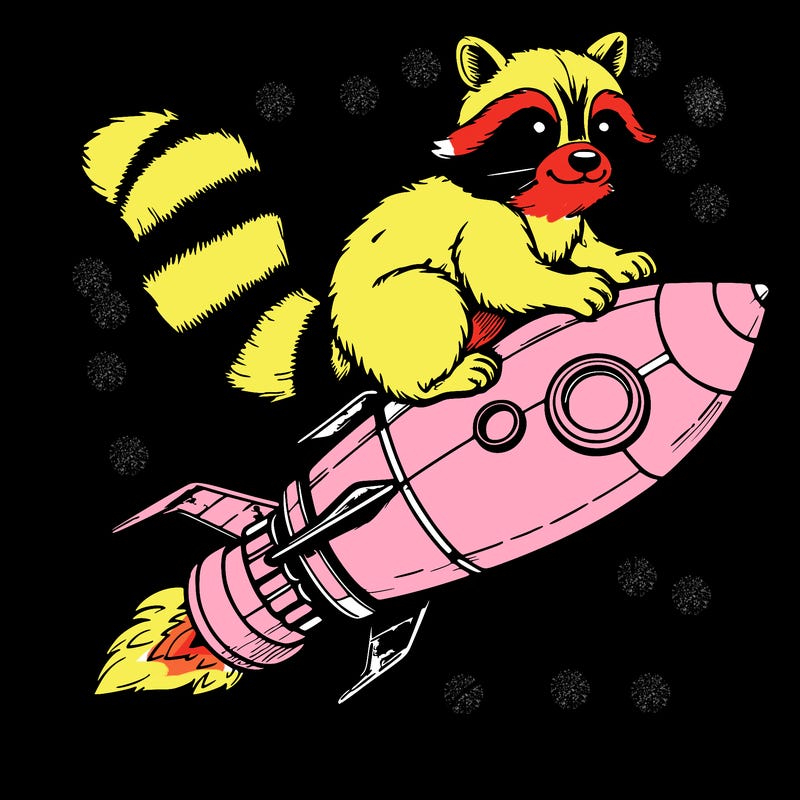 realistic raccoon flying on top rocket ship