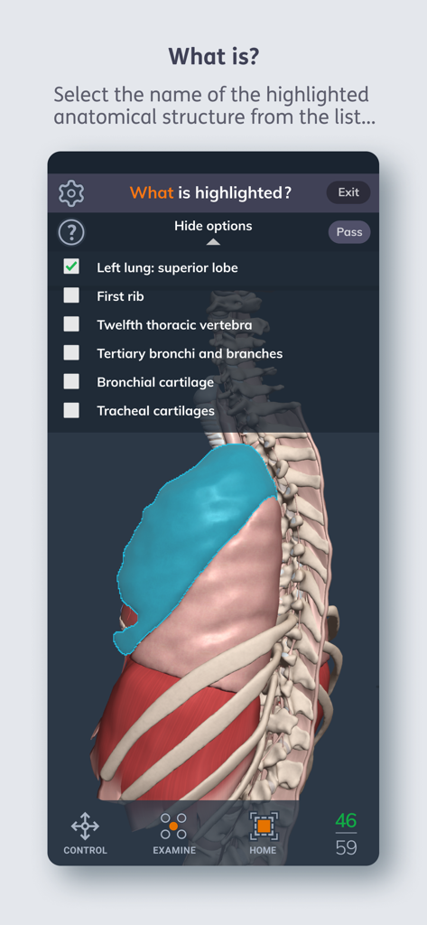 Primal's 3D Human Anatomy Quiz - Una interfaz de cuestionario de anatomía médica que muestra un modelo humano 3D con el lóbulo superior del pulmón izquierdo resaltado