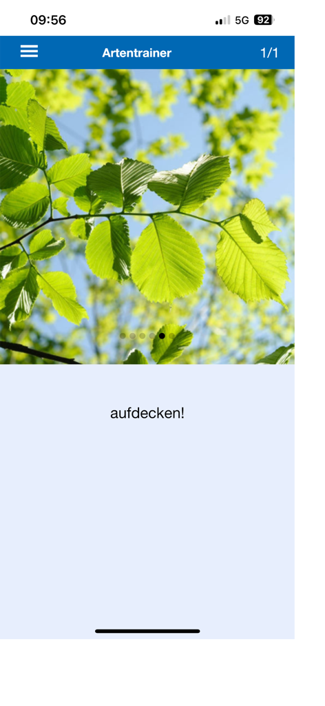 Feldbotanik species trainer showing a high resolution plant image for identification