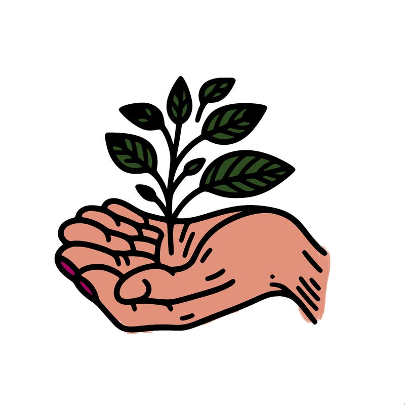 hand with plant
