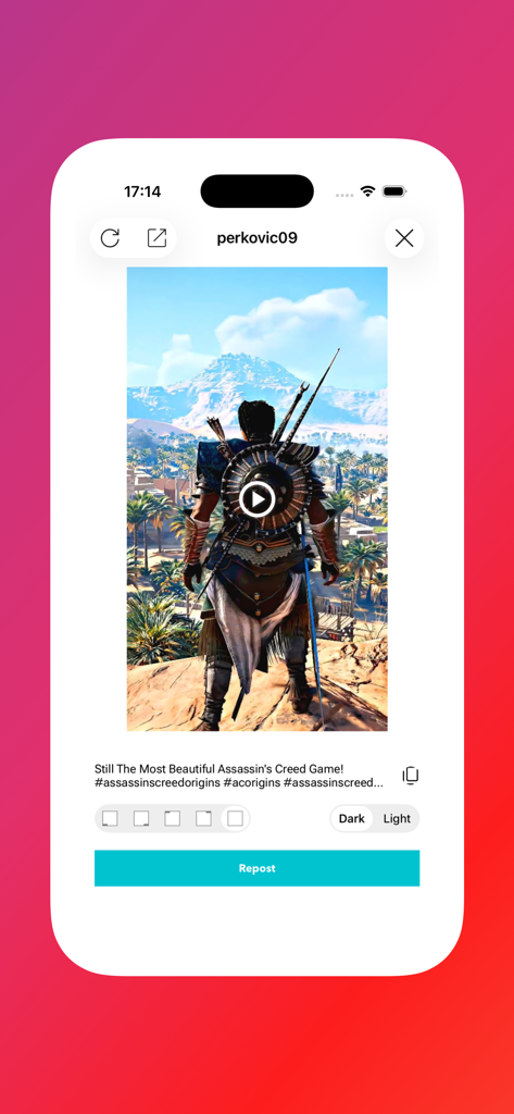 Regrammer App-Oberfläche mit einer Vorschau eines Instagram-Videos und einer Repost-Schaltfläche