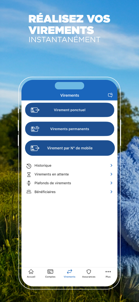 Crédit Mutuel Banque Assurance - Crédit Mutuelアプリのインターフェース。インスタント送金および定期振込のオプションが表示されています。