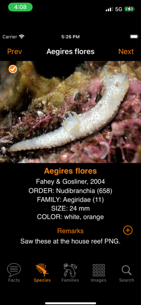 アプリ内の学名分類、サイズ、ユーザーメモを含む、Aegires floresウミウシの詳細種プロファイル