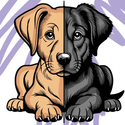 realistic dog split picture