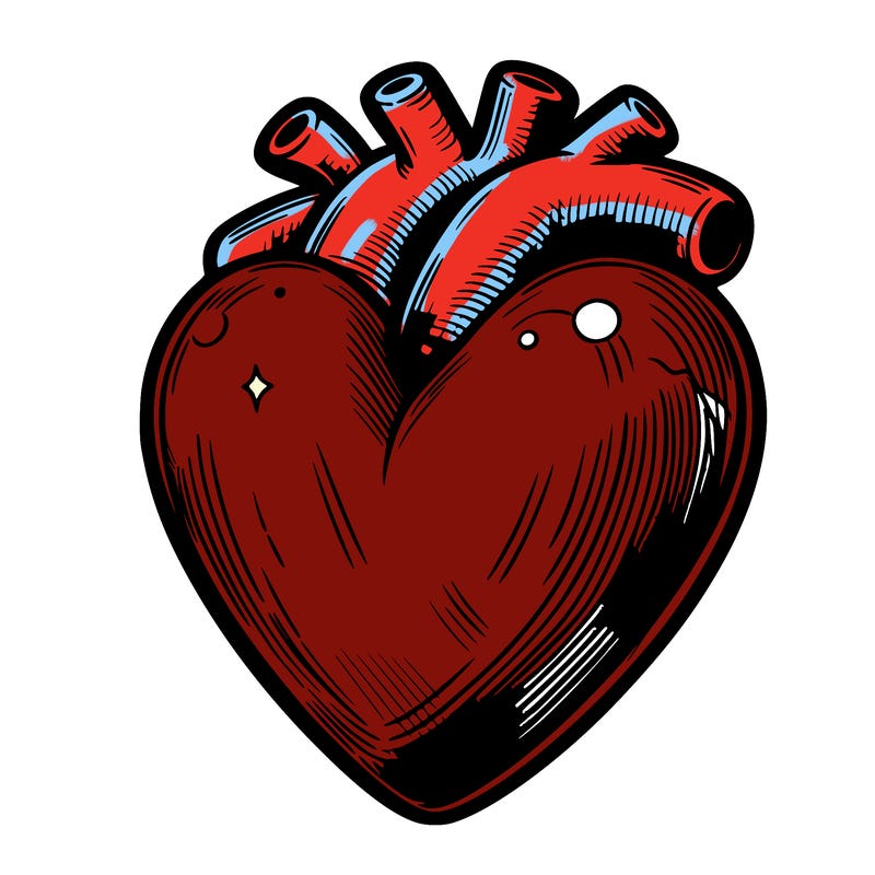 realistic heart