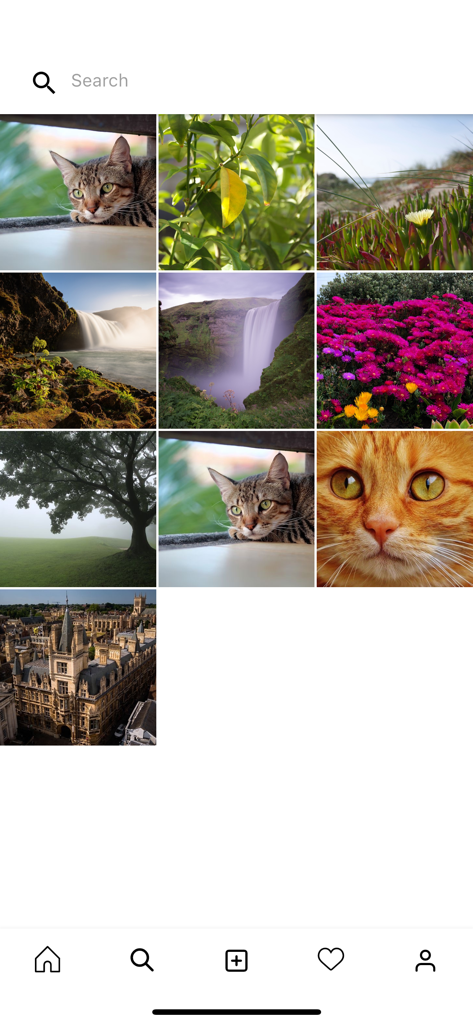 A grid of images in the PhotoNote app showing a social media style gallery layout.