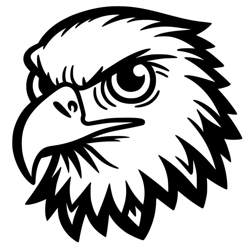 a hawk's face
