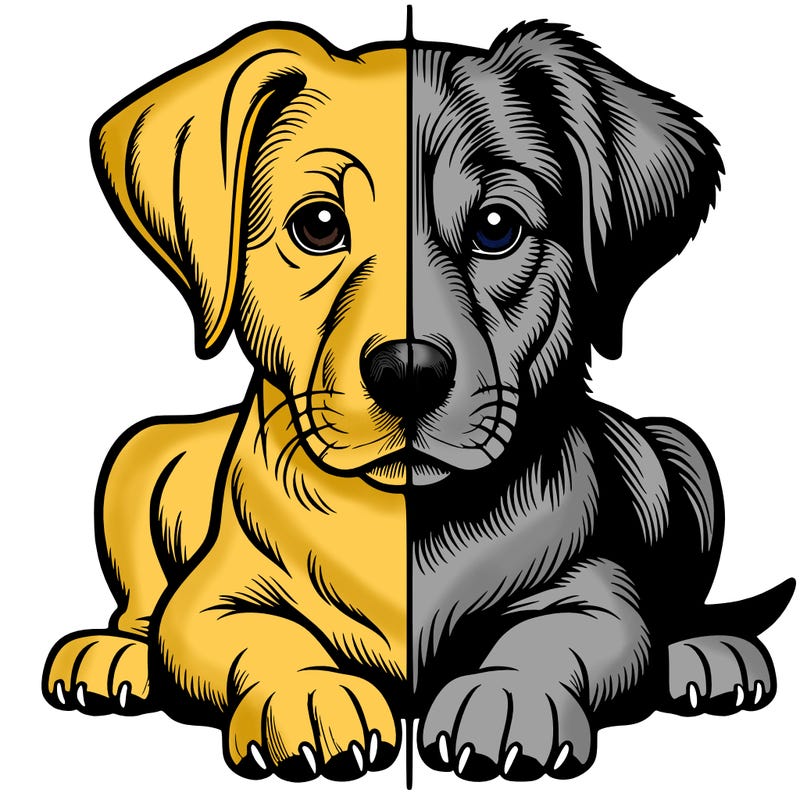 realistic dog split picture