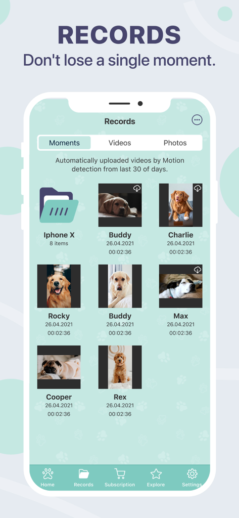 Dog Monitor Buddy & Pet cam - Una galería de momentos de video grabados y fotos de perros capturados por la aplicación de cámara para mascotas.