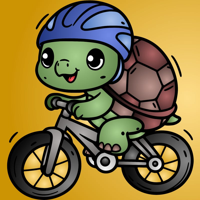 turtle on a bike