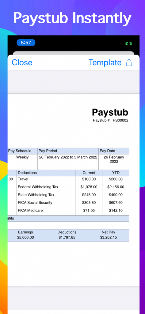 Paystub Generator - Screenshot of a generated paystub document showing earnings and deductions