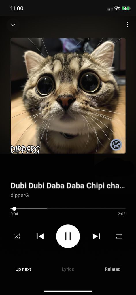 Float Tube：PiP for Video&Music - Float Tube App-Oberfläche zeigt einen Videoplayer mit einem Katzen-Thumbnail und Musikwiedergabesteuerungen