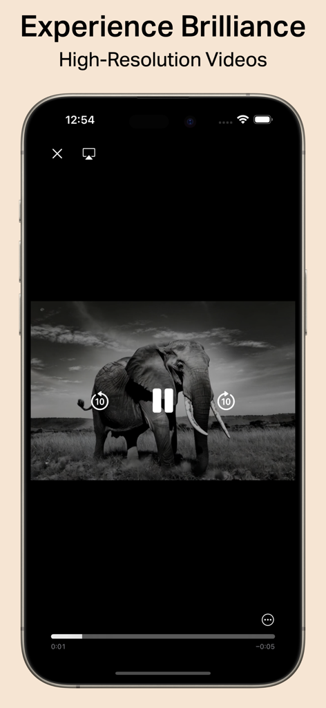 Cinematic AI: Create AI Videos - iPhone screen displaying a high resolution black and white AI video of an elephant in the Cinematic AI app.