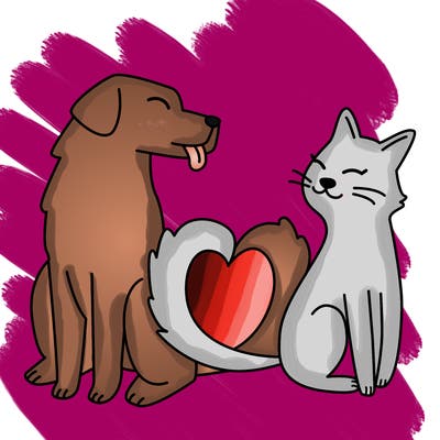 animals_22