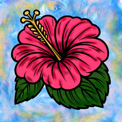 hibiscus flower