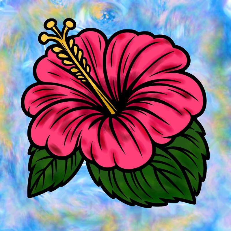 hibiscus flower