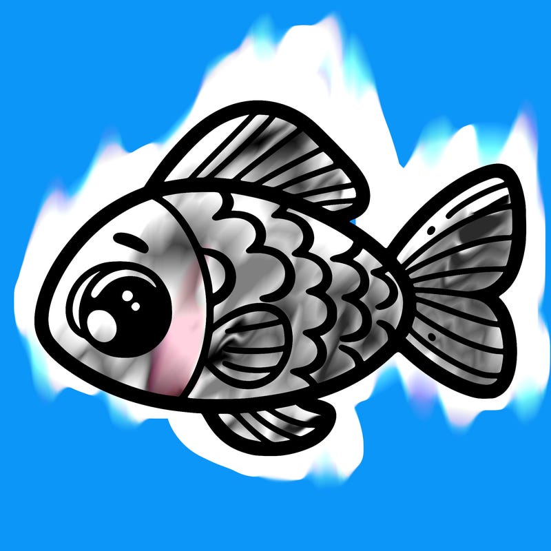 fish