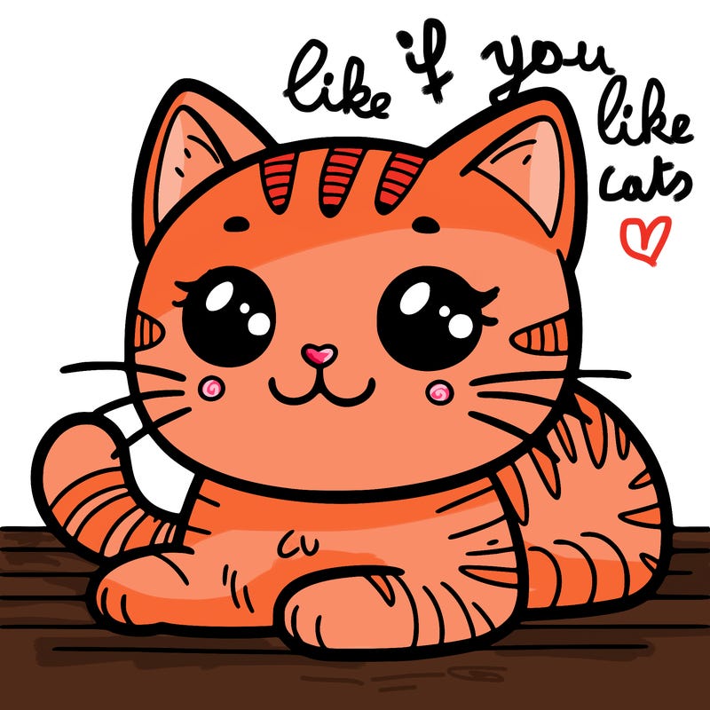 cat