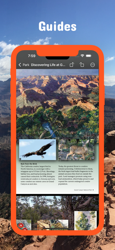 National Parks Pocket Maps - Smartphone screen showing an official National Park Service guide for the Grand Canyon with wildlife photos and educational text