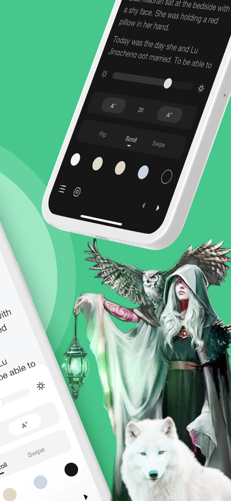 NovelBar app reading interface with font and background settings over fantasy artwork of a woman with a wolf and owl