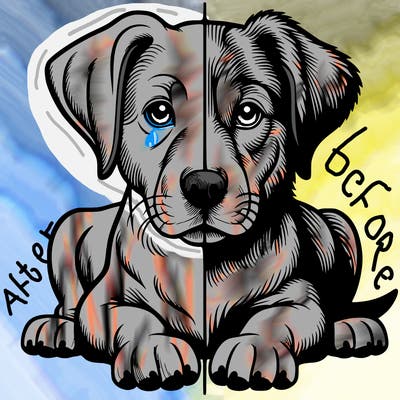 realistic dog split picture