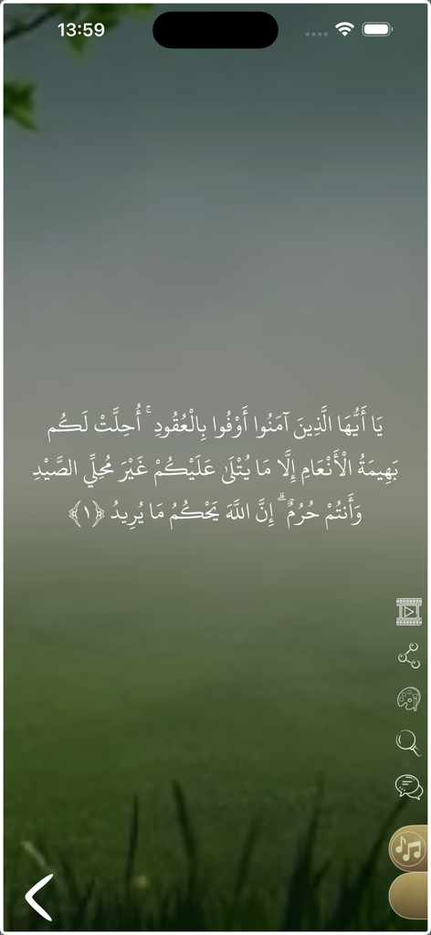 Arabic verse from the Quran displayed on a serene green background within the mobile app interface.