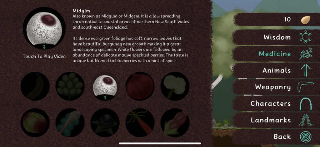 Djaa - Interface éducative de l'application Djaa détaillant les connaissances traditionnelles sur la plante Midyim dans la section médecine